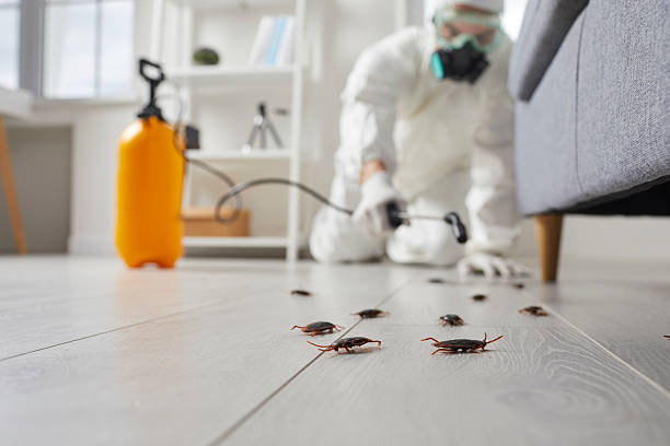 Commercial Kitchen Cockroach Control in Lawrenceburg